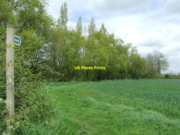 Photo 6"x4" Footpath And Footpath Sign Ilketshall St Lawrence c2015