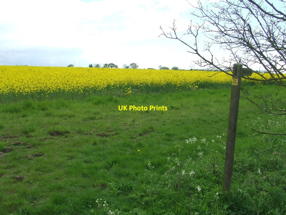Photo 6"x4" Bridleway And Sign Redisham c2015