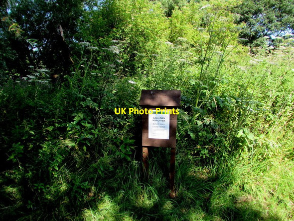 Photo 6"x4" Dogs may swim here notice, Clytha Estate Aberffrwd\/SO3509 c2015
