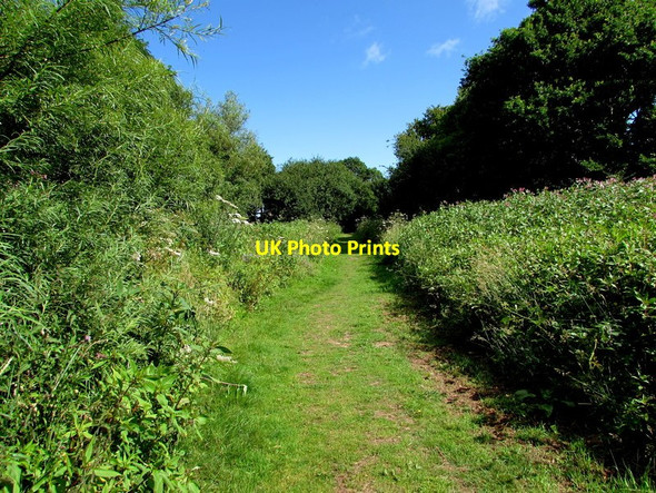Photo 6"x4" Riverbank track through Clytha Estate Aberffrwd\/SO3509 c2015