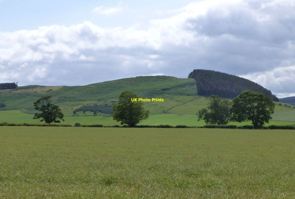 Photo 6"x4" Field of oil seed rape Greendykes\/NU0628 c2015