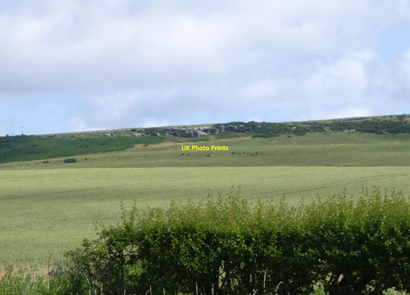 Photo 6"x4" Cereals and pasture with sheep Greendykes\/NU0628 c2015
