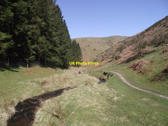 Photo 6"x4" Stream and foot path in Minton Batch Hamperley c2015