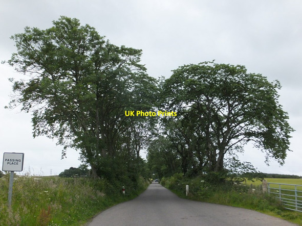 Photo 6"x4" Tree lined stretch of the road from Inverness to Essich Lochardil c2015