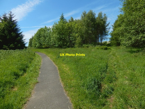 Photo 6"x4" Path in Garscadden Wood Bearsden c2015