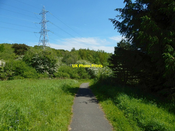 Photo 6"x4" Path in Garscadden Wood Bearsden c2015