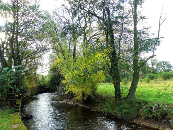 Photo 6"x4" Afon Honddu, Pandy Pandy\/SO3322 c2008