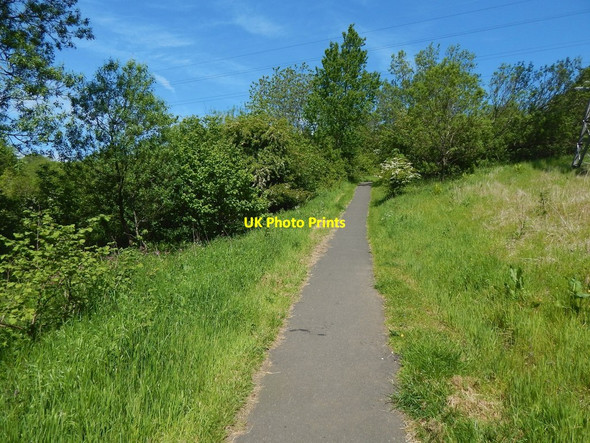 Photo 6"x4" Path in Garscadden Wood Bearsden c2015