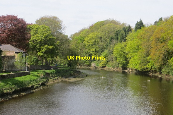 Photo 6"x4" River Coquet, Warkworth Warkworth\/NU2406 c2015