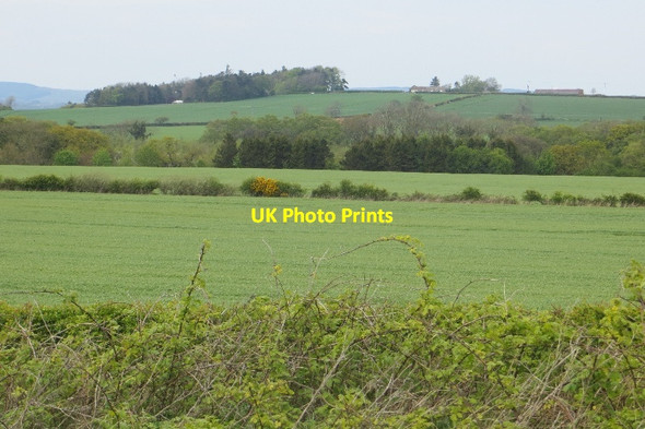 Photo 6"x4" West Forest Causey Park Bridge c2015