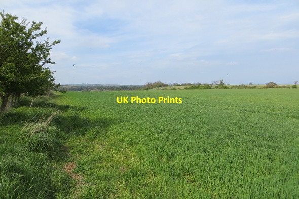 Photo 6"x4" Arable land, East Thirston East Thirston c2015