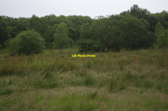 Photo 6"x4" Cors Caron Tregaron c2015