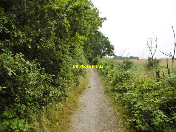 Photo 6"x4" Hardley, bridleway Little Holbury c2015