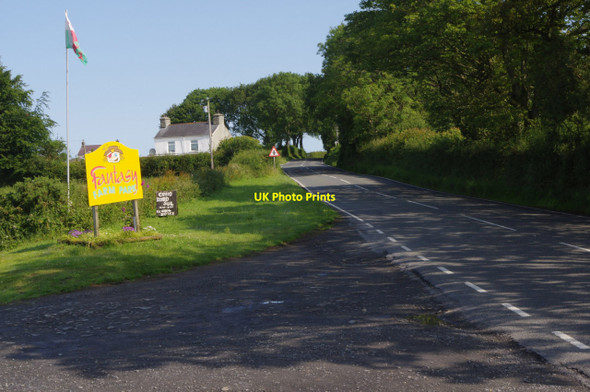Photo 6"x4" Entrance to Fantasy Farm Park Ty-Newydd\/SN5468 c2015