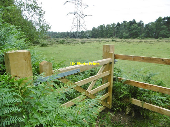 Photo 6"x4" Applemore, gate Applemore c2015