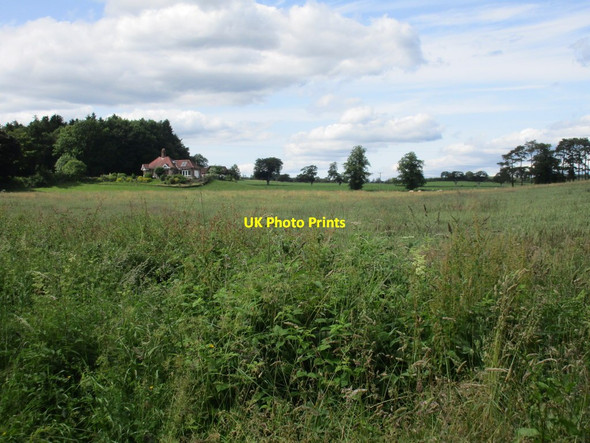 Photo 6"x4" View towards Rosebank Lodge South Corrielaw c2015