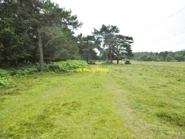 Photo 6"x4" Applemore, track Applemore c2015