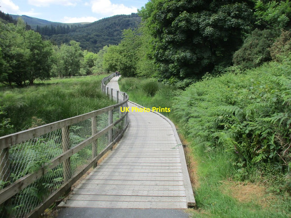 Photo 6"x4" Boardwalk above the Lower Lake, Glendalough Laragh c2015