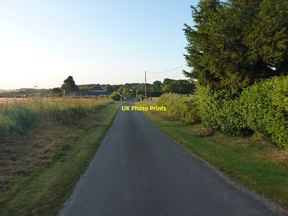 Photo 6"x4" On Holden Lane into Beauworth Beauworth c2015