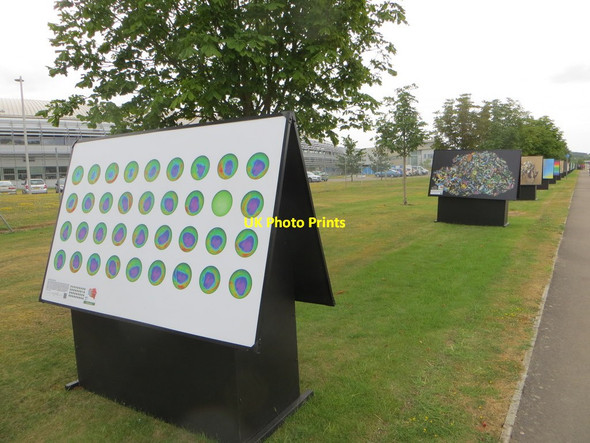 Photo 6"x4" Boards by Diamond Chilton\/SU4885 c2015