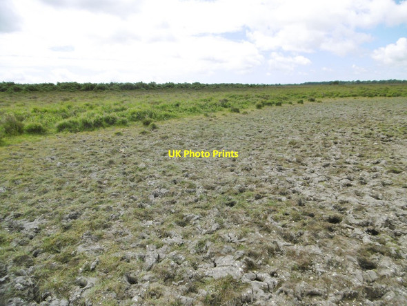 Photo 6"x4" Beaulieu Heath, dry pond Little Holbury c2015