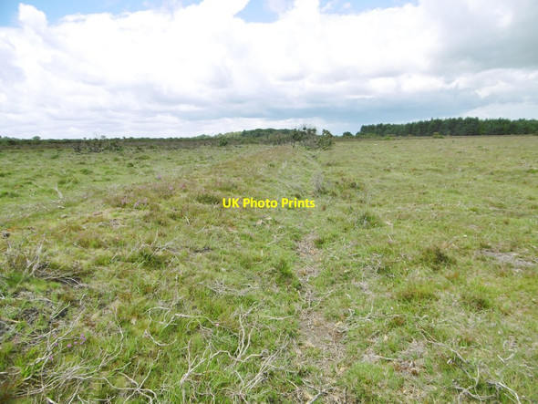 Photo 6"x4" Beaulieu Heath, embankment & ditch Hill Top\/SU4003 c2015