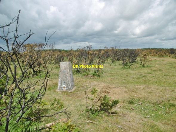 Photo 6"x4" Beaulieu Heath, trigpoint Hill Top\/SU4003 c2015
