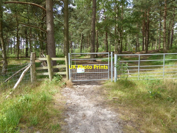 Photo 6"x4" Through the gate to Hampshire Langley\/SU8029 c2015