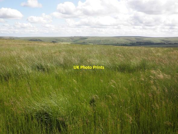 Photo 6"x4" Exe Head Simonsbath c2015