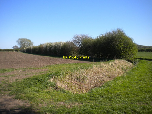 Photo 6"x4" Bridleway near Welldale Farm (1) Bunny Hill\/SK5728 c2015