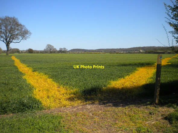 Photo 6"x4" Junction of well marked paths near Welldale Farm Bunny Hill\/SK5728 c2015