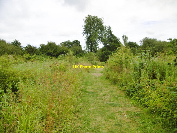 Photo 6"x4" Frampton, footpath Frampton\/SY6295 c2015