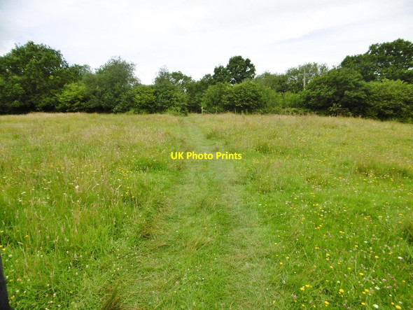Photo 6"x4" Lower Kingcombe, footpath Lower Kingcombe c2015