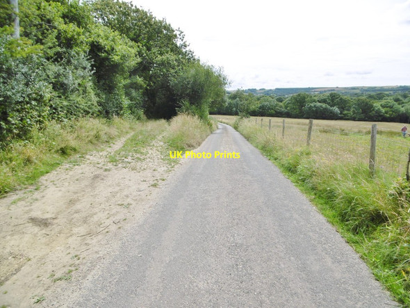 Photo 6"x4" Lower Kingcombe, lane Lower Kingcombe c2015