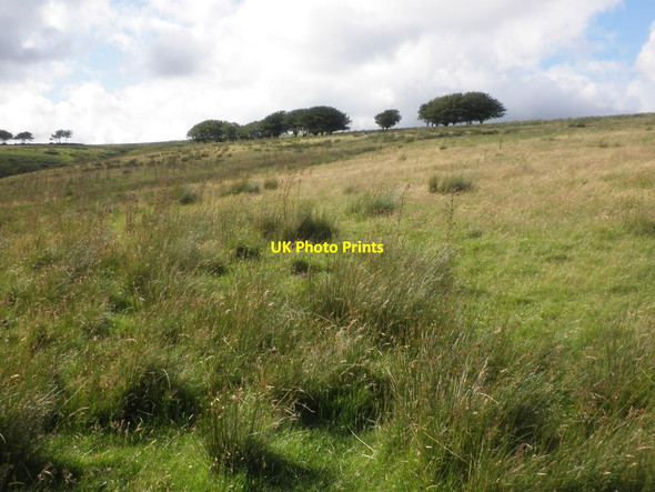 Photo 6"x4" Moorland above Titchcombe Simonsbath c2015