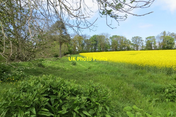 Photo 6"x4" Riverside path, River Tyne Haddington\/NT5173 c2015