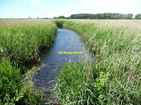 Photo 6"x4" Reedbeds and wetland, Martin Mere New Lane c2015