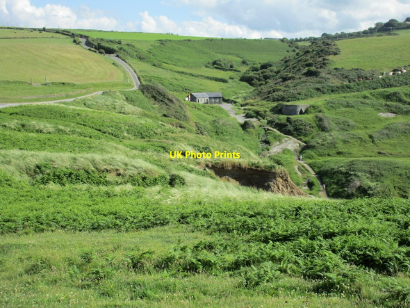 Photo 6"x4" Above the cliffs at Mwnt Y Ferwig c2015
