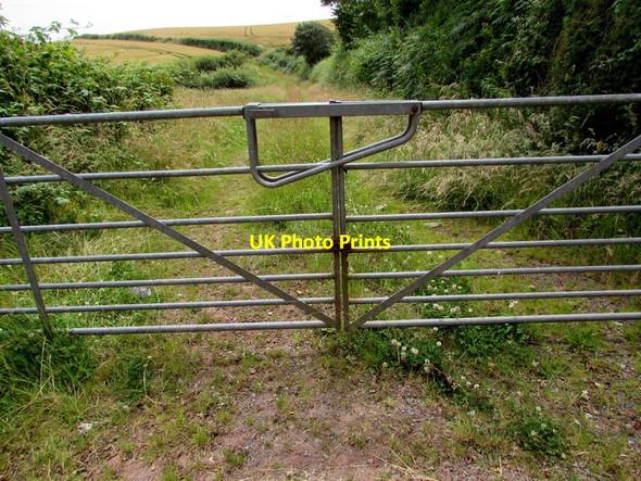 Photo 6"x4" Field gate, West Trewent East Trewent c2015