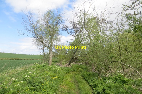Photo 6"x4" Haddington to East Linton path Markle\/NT5777 c2015