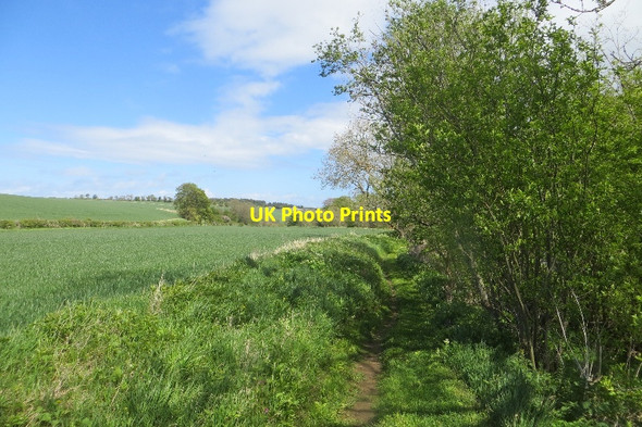 Photo 6"x4" Haddington to East Linton path Markle\/NT5777 c2015 P1