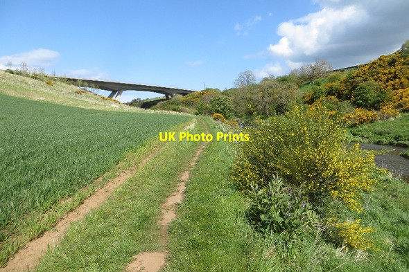Photo 6"x4" Path beside the Tyne East Linton c2015