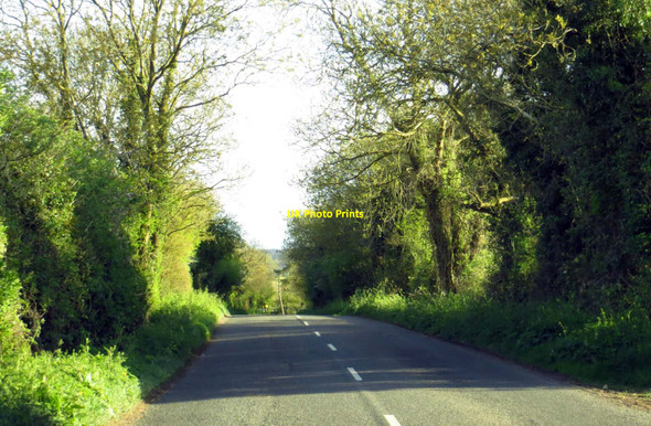 Photo 6"x4" Charlbury Road entering Spelsbury Dean\/SP3422 c2015