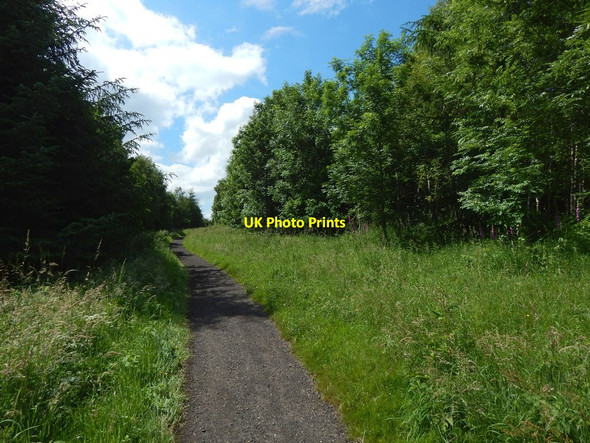 Photo 6"x4" Path in Garscadden Wood Bearsden c2015