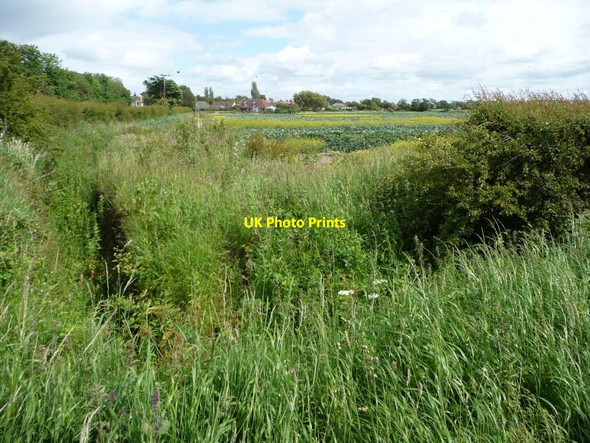 Photo 6"x4" Overgrown drainage ditch, west of New Lane New Lane c2015