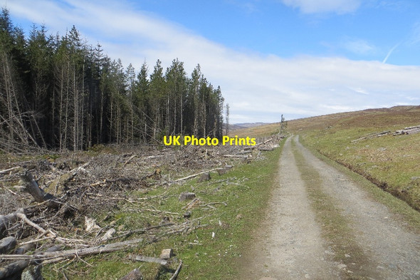 Photo 6"x4" Road to Loch Con Trinafour c2015