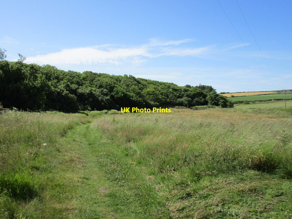 Photo 6"x4" Footpath to Marloes St Brides\/SM7910 c2015