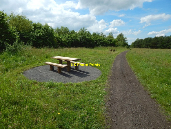Photo 6"x4" Path in Garscadden Wood Bearsden c2015