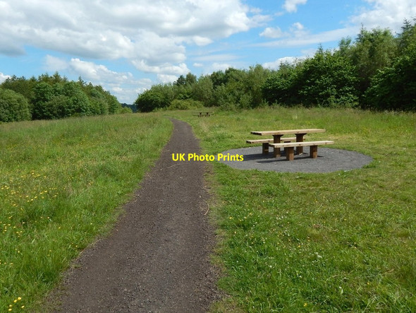 Photo 6"x4" Path in Garscadden Wood Bearsden c2015 P1