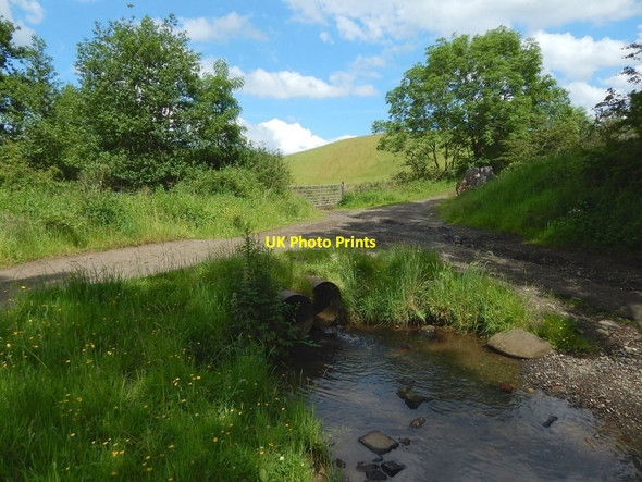 Photo 6"x4" The Cleddans Burn Bearsden c2015 P1